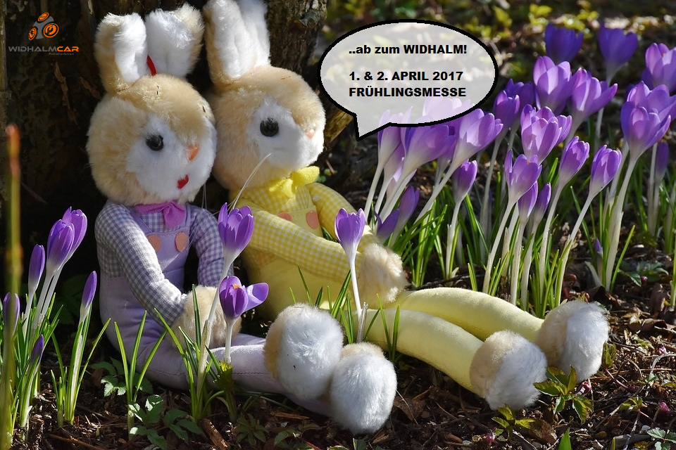 fruehling-2017-hase